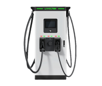 Зарядна станция LIVOLTEK M1201000E2EY, MF 120kW DC EV charge, 2x CCS2/5M/250A